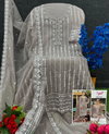 Ariana by Sajida Organza Embroidery Pakistani Salwar Kameez Suppliers In India